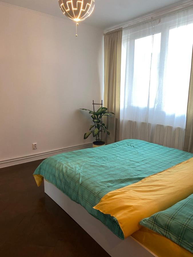 Zaza Apartament - Central Area, With Balcony Targu Jiu Bagian luar foto